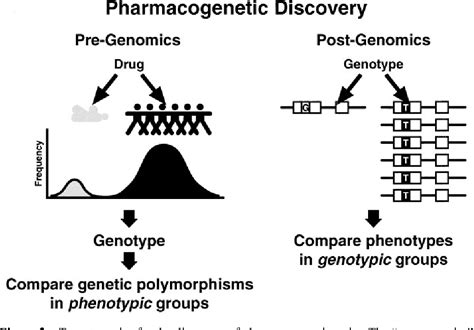 Pharmacogenomics | Semantic Scholar