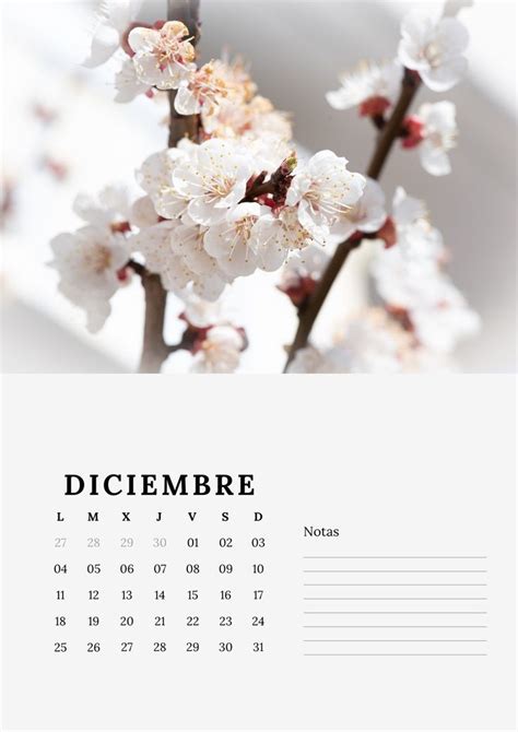 Beige, Templates, Aesthetic, Yearly, Calendar, Report Cards, Day Planners, Writing, Reading