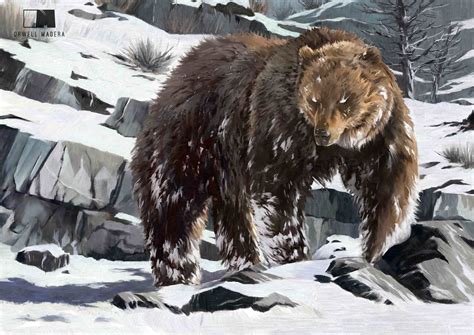 ArtStation - Bear Spirit