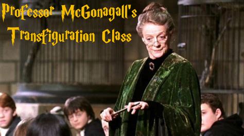 Harry Potter Transfiguration Class | Teaching Resources