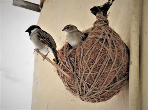 Readymade Sparrow Nest (Jute) | ECO ROOTS FOUNDATION