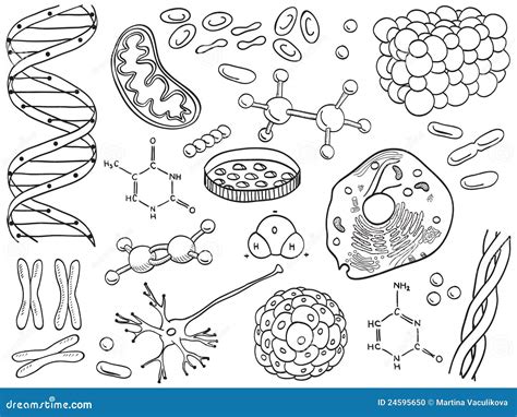 Biology and Chemistry Icons Isolated Stock Vector - Illustration of ...