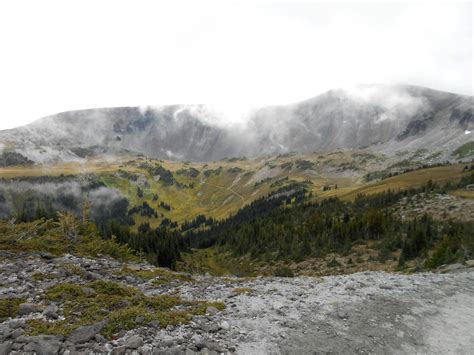 Wonderland Trail Wilderness Campsites - Where The Road Forks