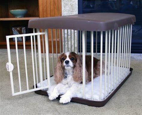 Carlson 3-in-1 Combi Crate *** Additional details at the pin image, click it : Dog kennels | Pet ...