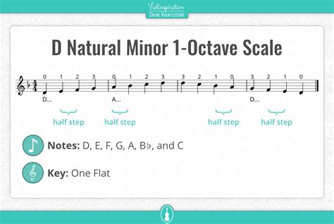 D Minor Scale on the Violin – Notes, Fingering, and Charts - Violinspiration