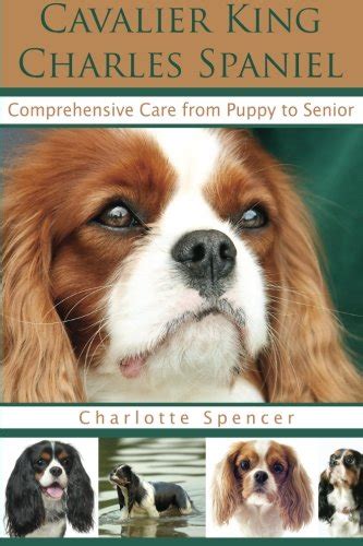 Cavalier King Charles Spaniel: Comprehensive Care from Puppy to Senior; Care, Health, Training ...