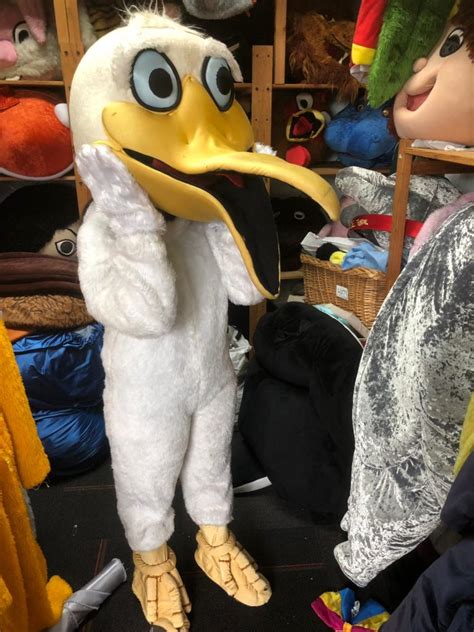 Pelican Mascot – Mascot Rental for Event & Children Party