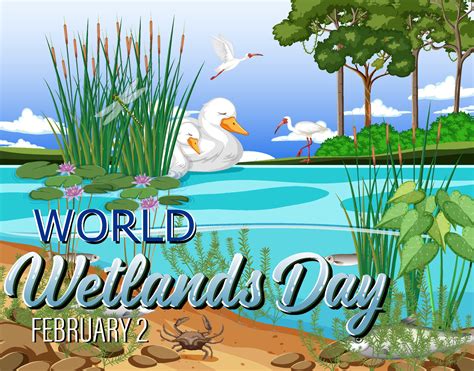 World Wetlands Day poster design 5253848 Vector Art at Vecteezy