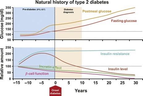 Natural history of type 2 diabetes. Representative depi | Open-i