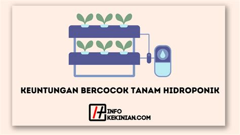 9 Keuntungan Bercocok Tanam Hidroponik yang Sangat Memuaskan