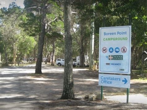 Boreen Point Campground | Camp Around Australia