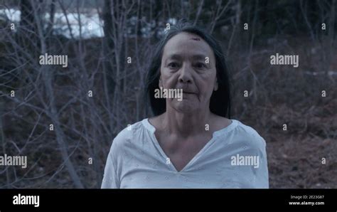 FALLS AROUND HER, Tantoo Cardinal, 2018. © Samuel Goldwyn Films /Courtesy Everett Collection ...