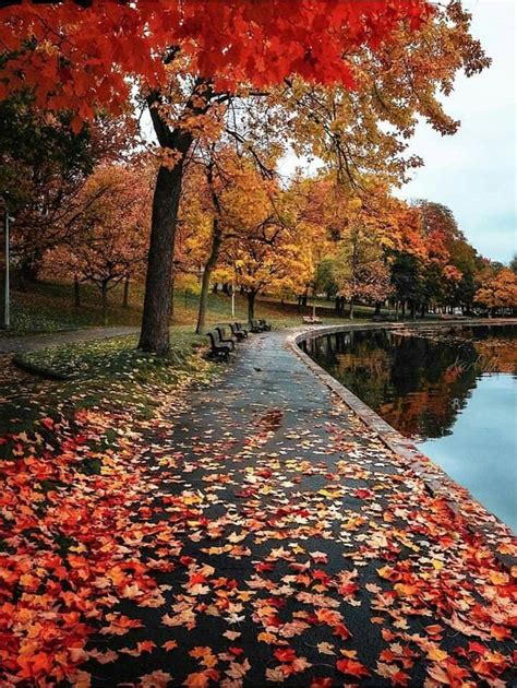 Autumn mosaic | Paisaje de otoño, Colores de otoño, Imágenes de otoño