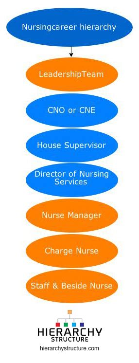 Nursing Career Hierarchy | Hierarchystructure.com