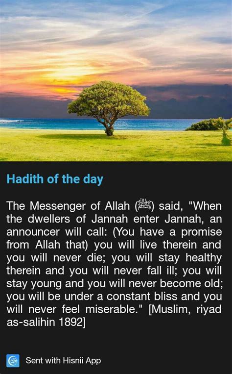 Jannah. Heaven. #Islam | Hadith, Hadith of the day, Islamic teachings