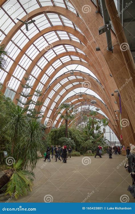 Inside the Winter Gardens in Sheffield, South Yorkshire Editorial Photo - Image of nature ...