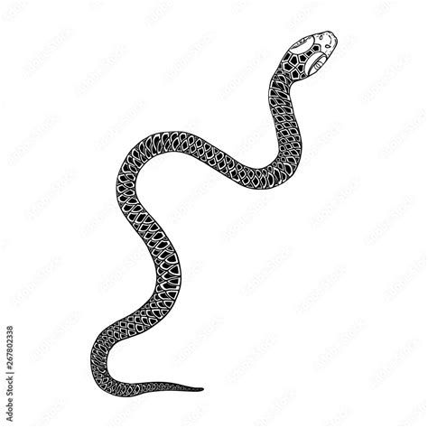 Snake drawing illustration. Black serpent isolated on a white ...