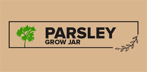 HOW TO GROW PARSLEY INDOORS - GROW JAR