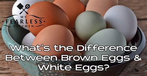 What's the Difference Between Brown and White Eggs? - My Fearless Kitchen