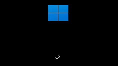 Windows 11 Loading Screen