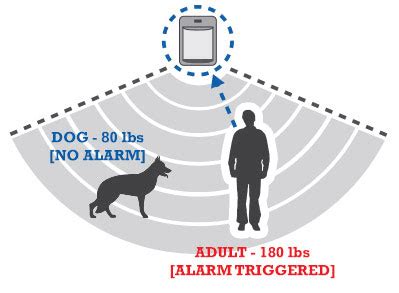 ADT Motion Sensors: What You Need to Know | ADT Security