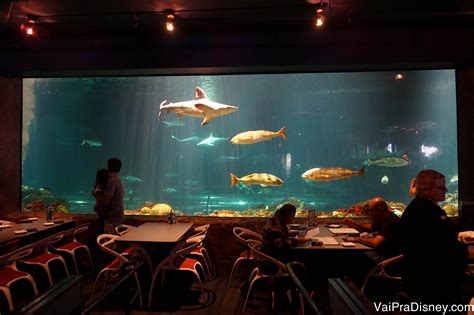 Sharks Underwater Grill: restaurante com vista para aquário no Sea World