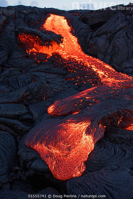 Stock photo of Pahoehoe lava from the 61G flow, emanating from Pu'u O'o ...