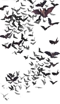 Image - Swarm of Bats.png | Vampire Wars Wiki | FANDOM powered by Wikia