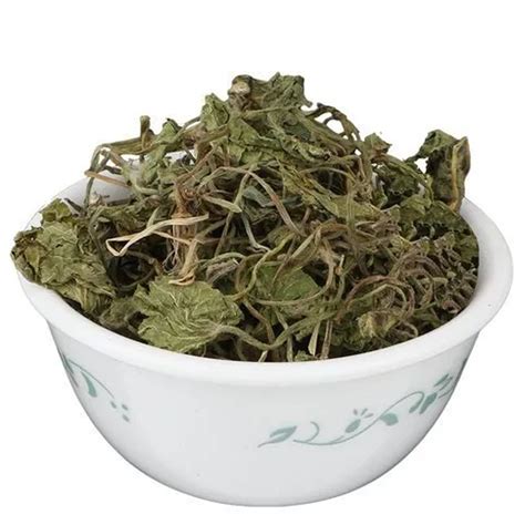 Natural Brahmi Dried Leaves, Packaging Type: Bag at best price in Sonipat