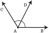 Bisect