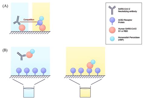 Viruses | Free Full-Text | Overview of Neutralization Assays and ...