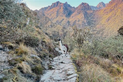 The Inca Road System: An Architectural Marvel of the Andes (2023)