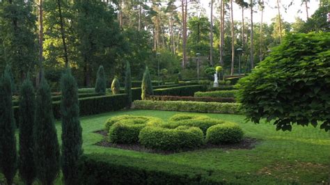 Green Hedge Plants image - Free stock photo - Public Domain photo - CC0 Images