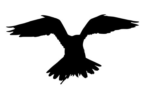 SVG > falcon prey - Free SVG Image & Icon. | SVG Silh