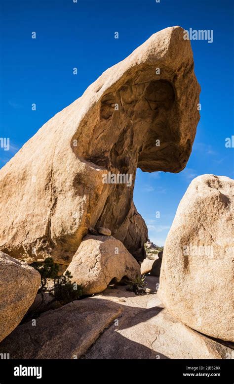 Rock formations in the Wonderland of Rocks, Joshua Tree National Park ...