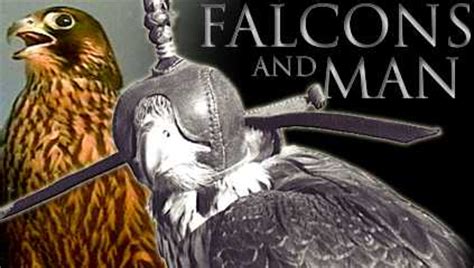 Falcons and Man - A History of Falconry