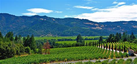 Napa, CA 6-Day Weather Forecast | Hotel Napa Valley