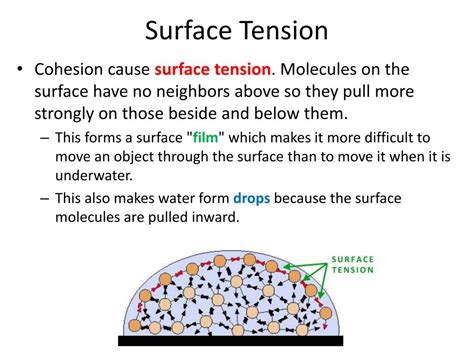 Water Molecules Surface Tension