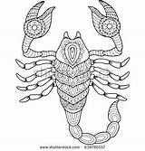 Prehistoric Scorpion Free Printable Coloring Pages  Cool sketch template
