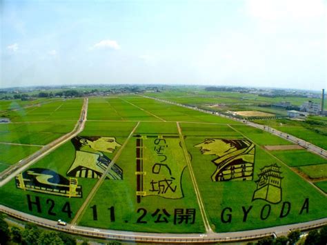 Rice Field Art, Japan | Field, Japan, New art