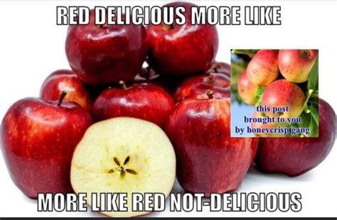 Nobodies favorite apple is Red Delicious. : r/memes