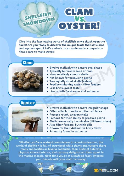 Clam vs. Oyster: Differences between Oyster and Clam • 7ESL