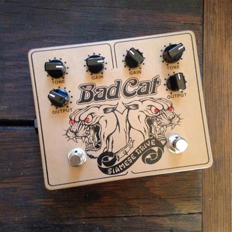 Bad Cat Siamese Drive Dual Overdrive Pedal | Reverb | Bad cats, Siamese ...