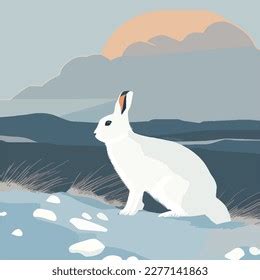 Arctic Hare Snowy Tundra Arctic Animals Stock Vector (Royalty Free) 2273485257 | Shutterstock