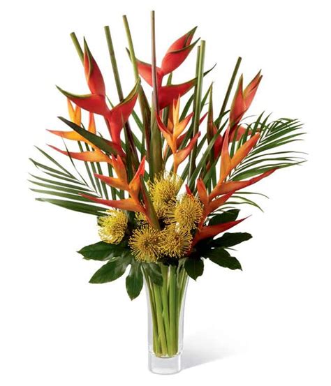 Bird Of Paradise Flower Arrangement Pictures | Best Flower Site