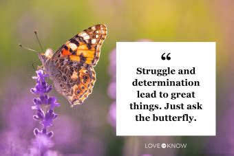 50 Beautiful Butterfly Quotes to Inspire You | LoveToKnow