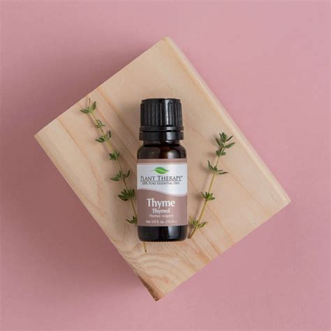 Thyme Thymol Essential Oil – Plant Therapy