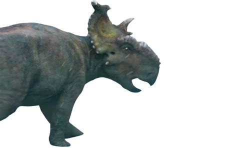 Pachyrhinosaurus by Walking-With-Dragons on DeviantArt