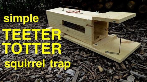 How to Make a Simple HUMANE TEETER-TOTTER Squirrel Trap - YouTube