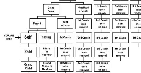 Pin by Jina Runion on About Me | Cousins, Second cousin, Family tree chart